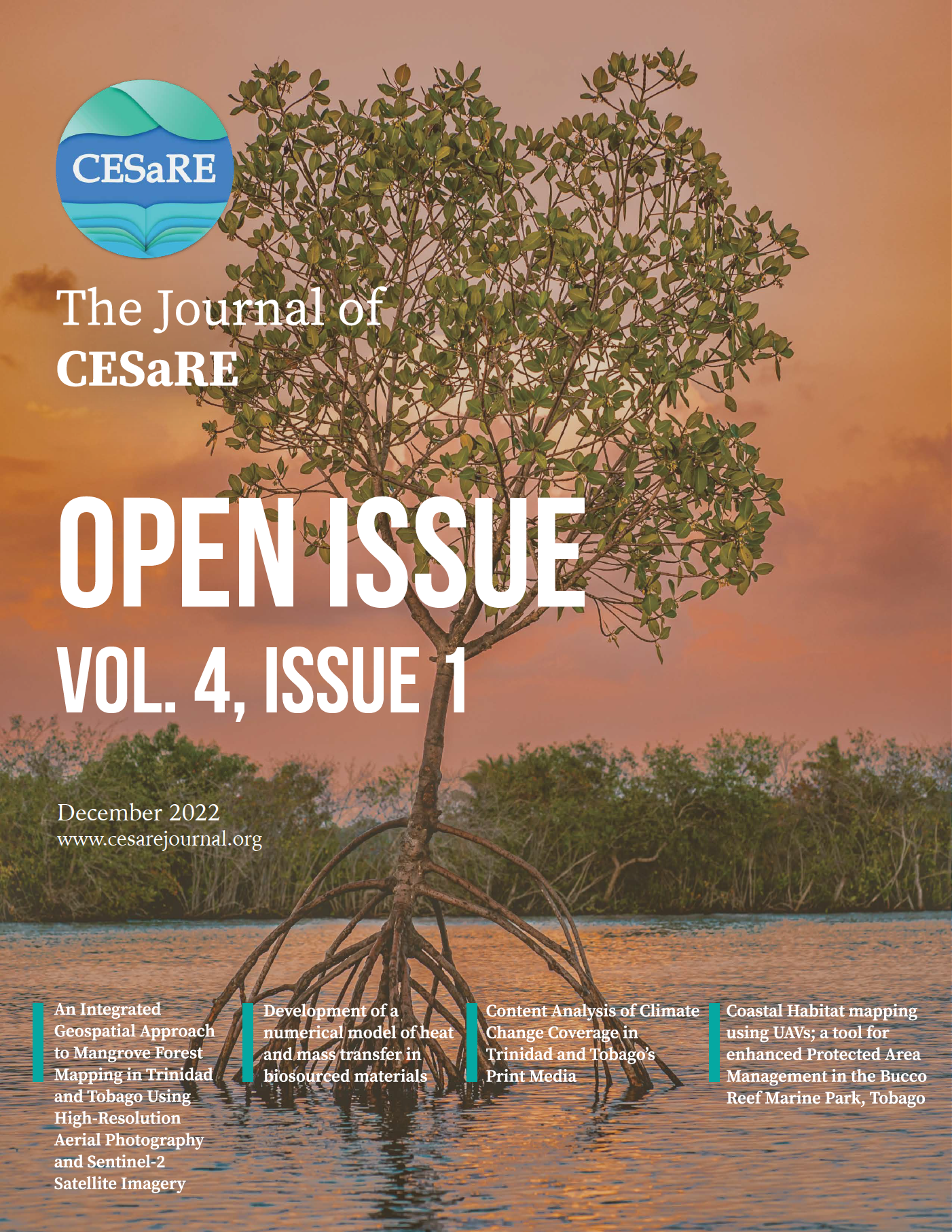 Open Issue